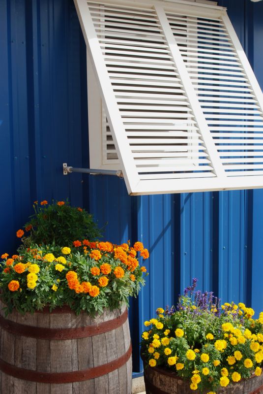 Wood Shutters Installation in Denver County, CO